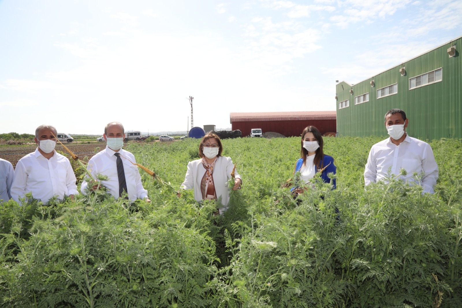 Tarım Okulu Salatalık Hasadı 