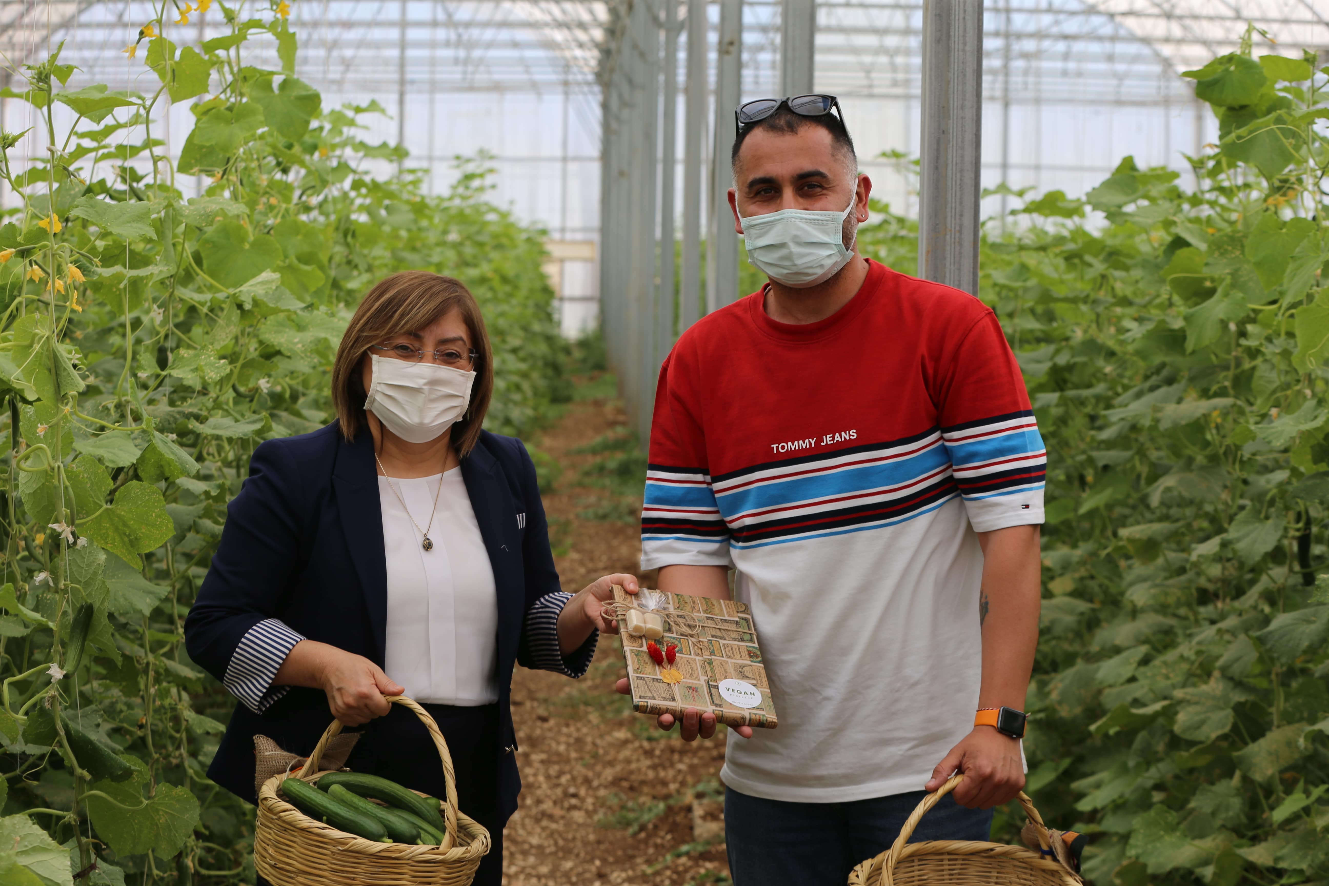 Farm Network Tarım Okulu 