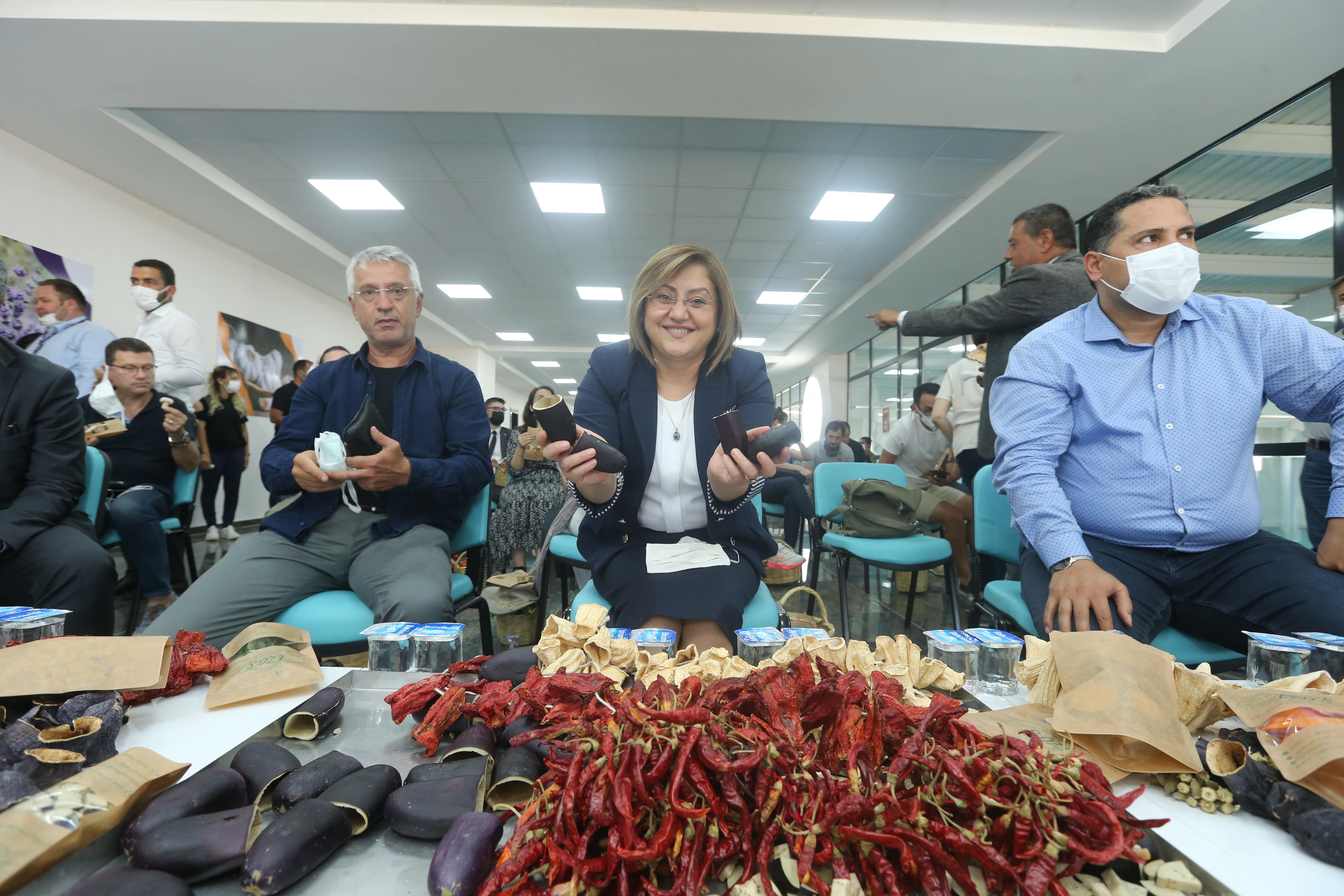 Farm Network Tarım okulu 