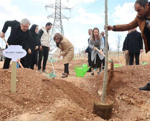 GAZİANTEP BÜYÜKŞEHİR, 330 BİN METREKARE ALANI AĞAÇLANDIRDI