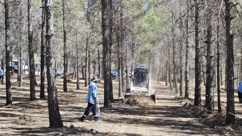 GAZİANTEP BÜYÜKŞEHİR, ORMAN YANGINI RİSKİNE KARŞI TEDBİRLERİNİ ARTIRDI